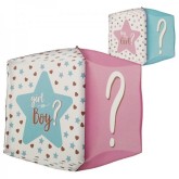 Αγόρι ή  Κορίτσι;(Gender Reveal)