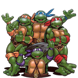 Χελωνονιντζάκια (Nickelodeon)
