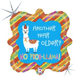 No Prob-Llama another year older