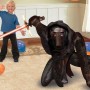 FOIL AWK STARWARS LEAD VILLAIN- KYLO REN