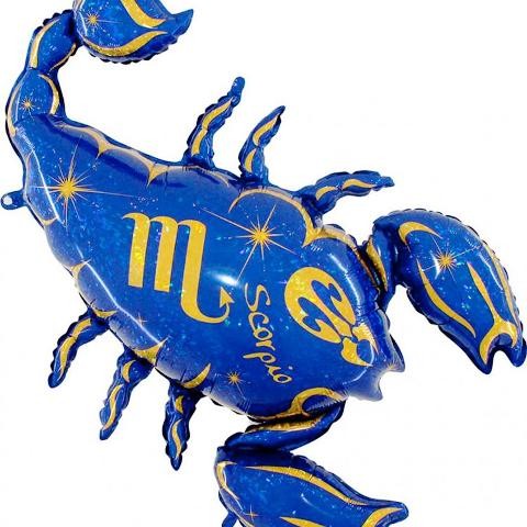 FOIL ΣΚΟΡΠΙΟΣ ΜΠΛΕ