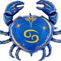 FOIL ΚΑΡΚΙΝΟΣ ΜΠΛΕ