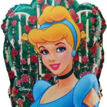 FOIL S/S ΣΤΑΧΤΟΠΟΥΤΑ DISNEY Προσφορά!