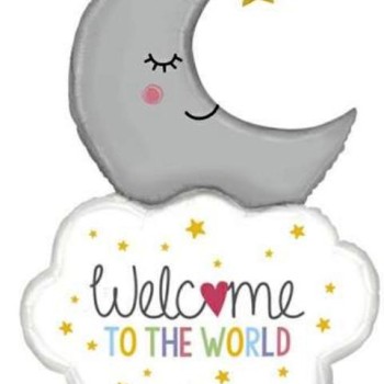 FOIL S/S  WELCOME TO THE WORLD ΦΕΓΓΑΡΑΚΙ