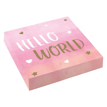 ΧΑΡΤΟΠΕΤΣΕΤΕΣ HELLO WORLD GIRL_ΡΟΖ 16ΤΜΧ