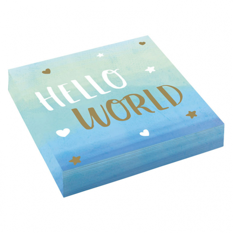 ΧΑΡΤΟΠΕΤΣΕΤΕΣ HELLO WORLD ΑΓΟΡΙ 16ΤΜΧ