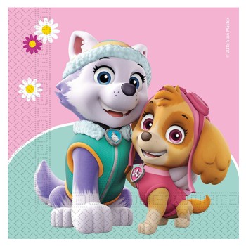 ΧΑΡΤΟΠΕΤΣΕΤΕΣ PAW PATROL SKYE AND EVEREST 20ΤΜΧ