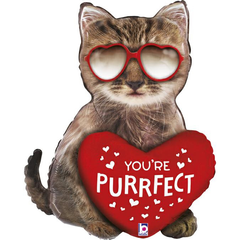 FOIL S/S ΓΑΤΟΥΛΑ YOU'RE PURRFECT