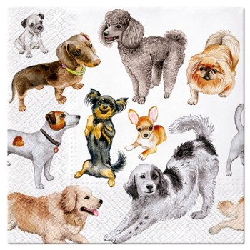 ΧΑΡΤΟΠΕΤΣΕΤΕΣ PAW DOGS HAPPINESS 20TMX