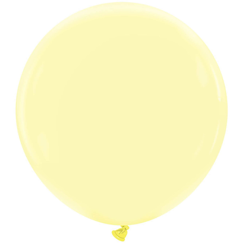 LATEX STANDARD 24''  ΙΒΟΥΑΡ 1ΤΕΜ