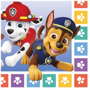 ΧΑΡΤΟΠΕΤΣΕΤΕΣ ΜΕΓΑΛΕΣ PAW PATROL ΠΟΛΥΧΡΩΜΑ ΠΑΤΟΥΣΑΚΙΑ 16TMX