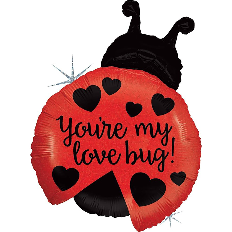 FOIL J/S ΠΑΣΧΑΛΙΤΣΑ YOU'RE MY LOVE HUG Προσφορά!