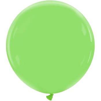 LATEX STANDARD 19'' ΛΑΧΑΝΙ 1ΤΕΜ