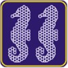 ΔΙΧΤΥ RMS SEA HORSE  ΙΠΠΟΚΑΜΠΟΣ