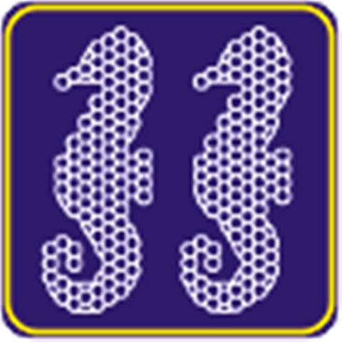 ΔΙΧΤΥ RMS SEA HORSE  ΙΠΠΟΚΑΜΠΟΣ